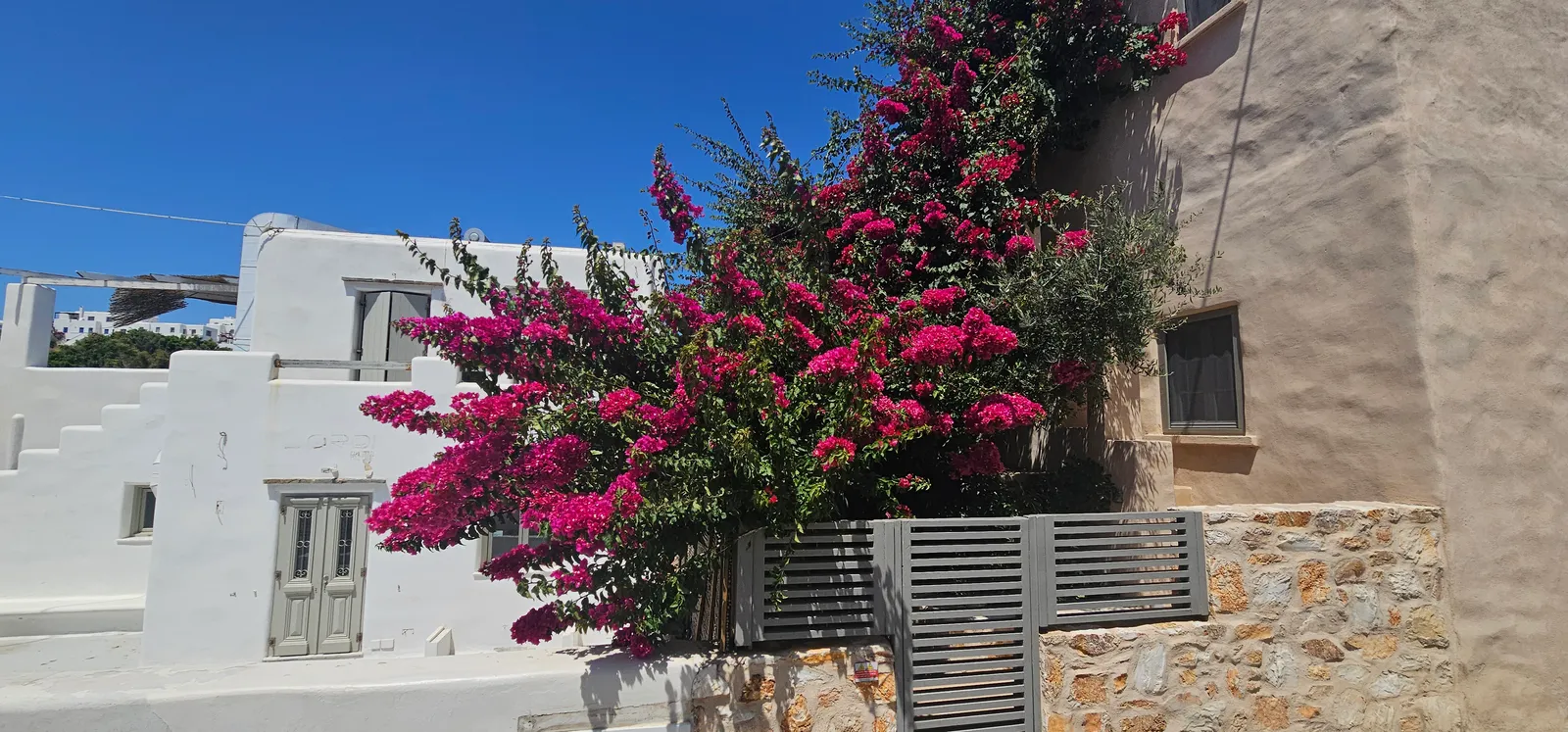 Kalkittu talo ja bougainvillea Naoussan kujalla Paroksella
